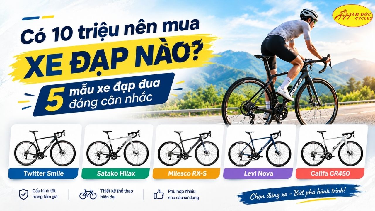 Nhật Anh 0202.jpg