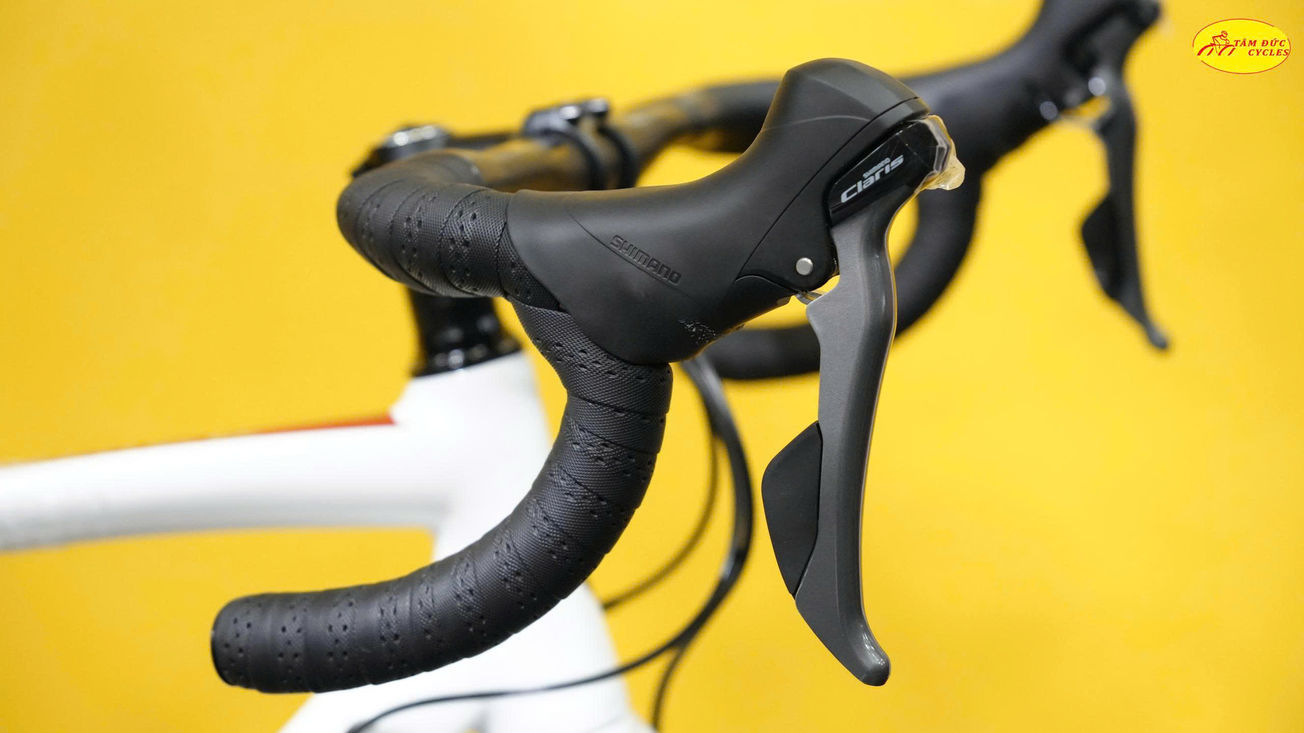 tay shimano.jpg